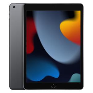 Apple iPad 9 10.2" Wi-Fi + 4G 256GB